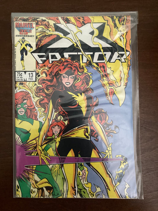 X-Factor #13