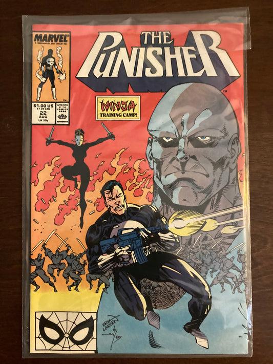 The Punisher #22
