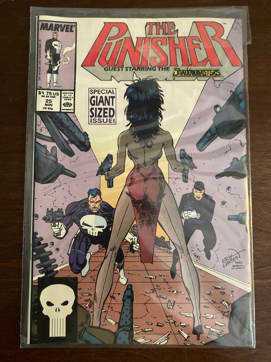 The Punisher #25
