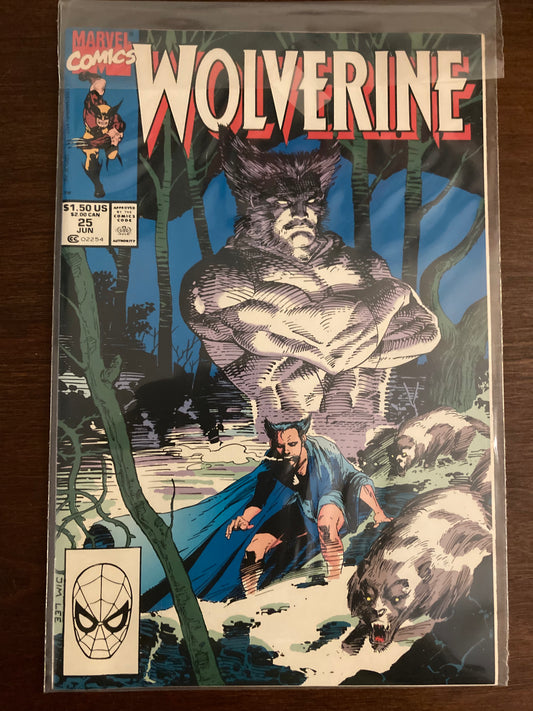 Wolverine #25